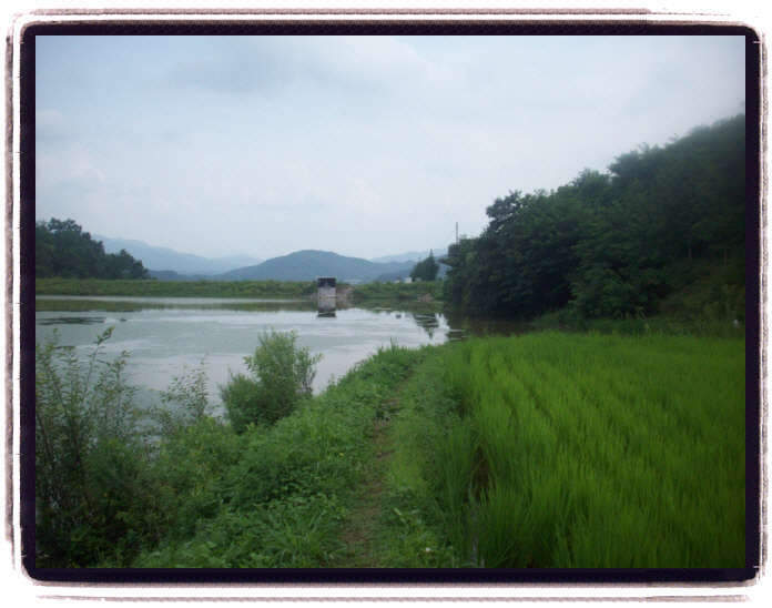 _09년8월13일 괴산 158_johwang105946