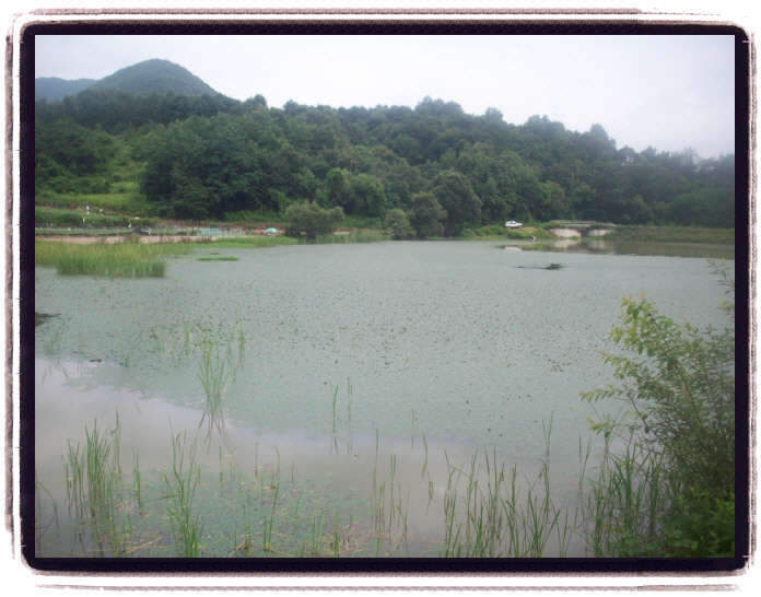 _09년8월13일 괴산 159_johwang105853