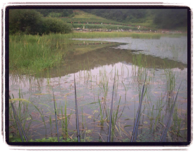 _09년8월13일 괴산 170_johwang110145