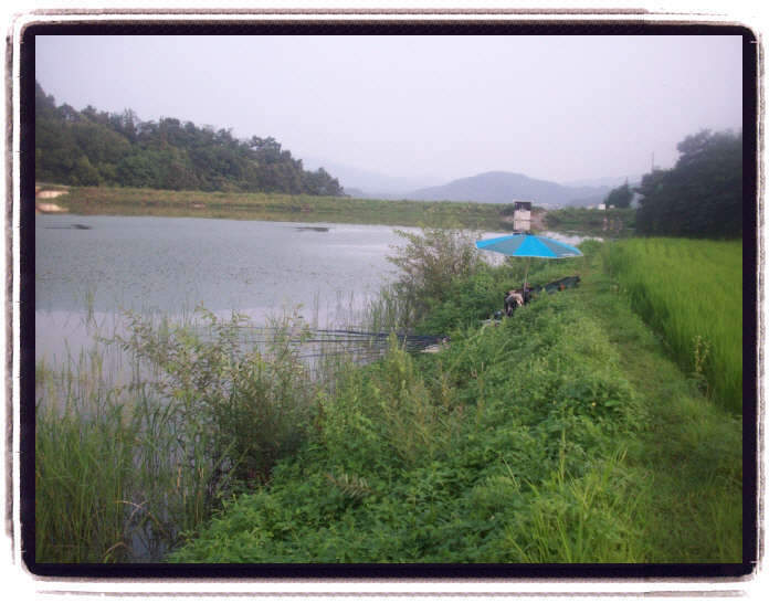 _09년8월13일 괴산 177_johwang110220
