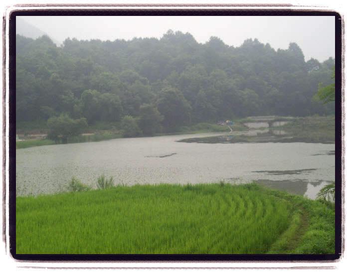 _09년8월13일 괴산 237_johwang110708