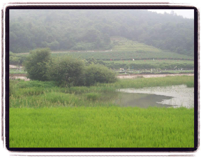 _09년8월13일 괴산 238_johwang110653