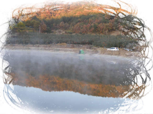 _1농암지 윗못꾸미기_11177PB03045