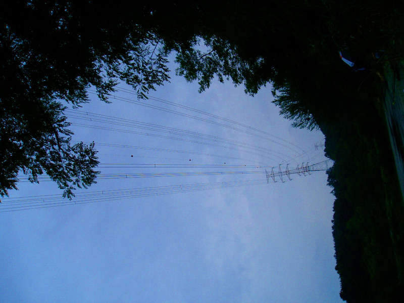 _P1010113_johwang09173967.jpg
