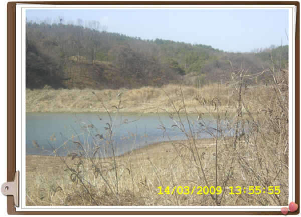 _SA500837_johwang10021189.jpg