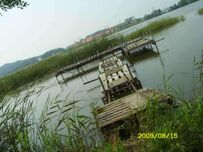 _ST830844_johwang11095827.jpg