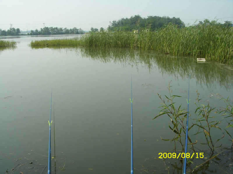 _ST830864_johwang11263716.jpg