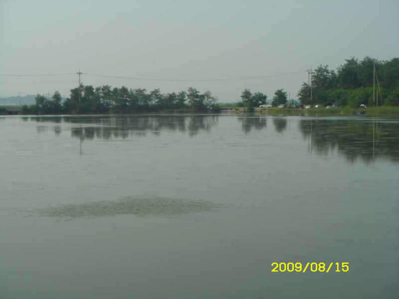 _ST830868_johwang11273314.jpg