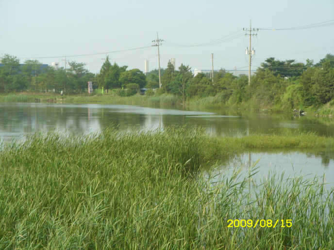 _ST830872_johwang11274944.jpg