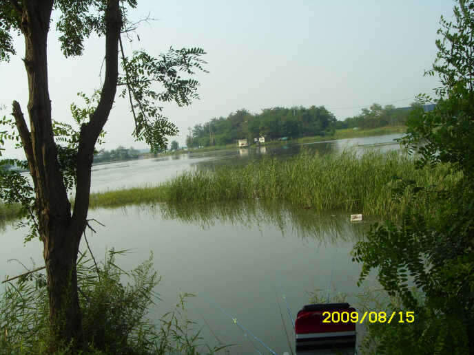 _ST830878_johwang11285734.jpg