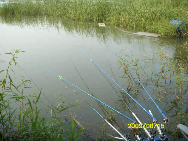 _ST830887_johwang11294689.jpg