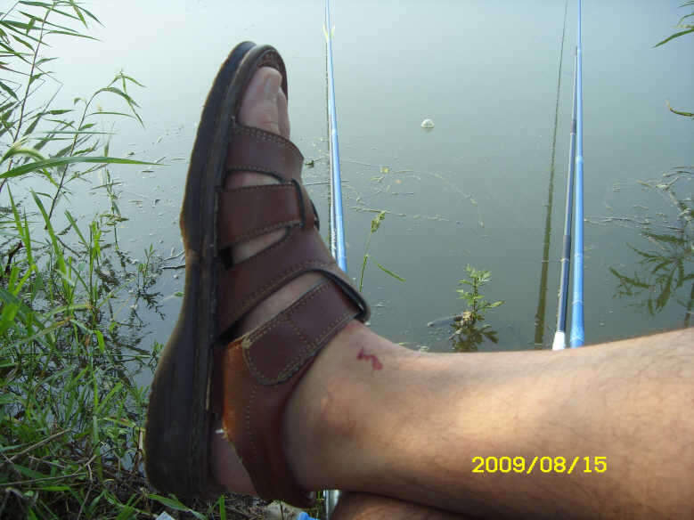 _ST830888_johwang11295347.jpg