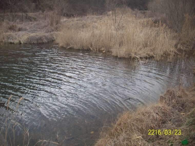 061_johwang10154112.jpg