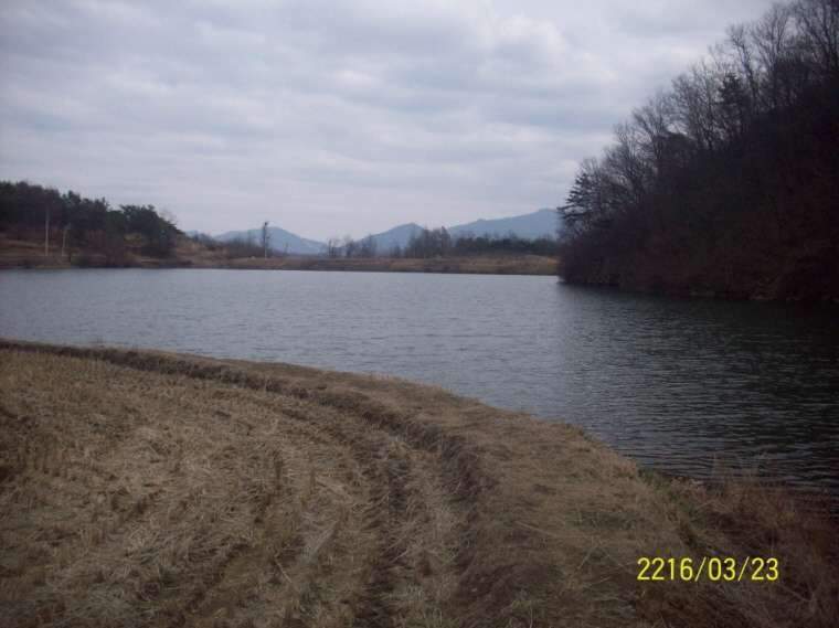 064_johwang10161018.jpg