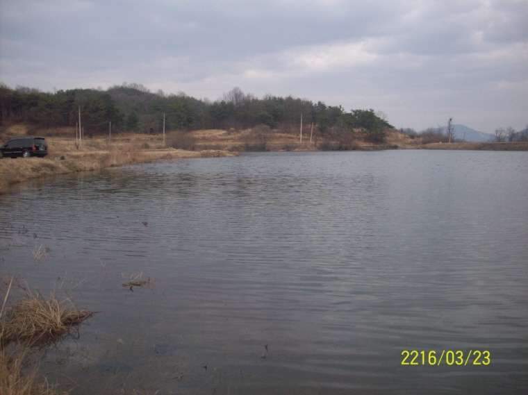 077_johwang10163315.jpg