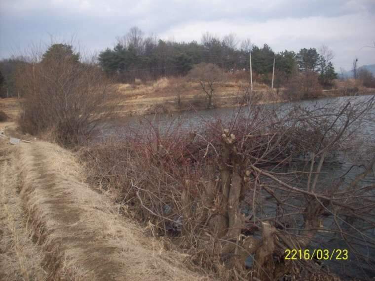 092_johwang10174425.jpg