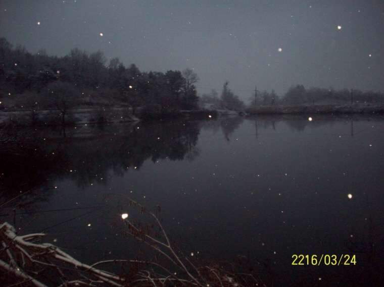 101_johwang10225664.jpg