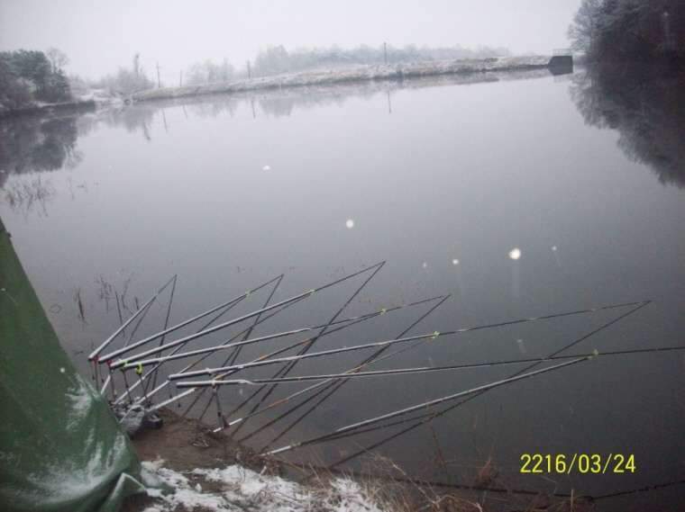 107_johwang10362361.jpg