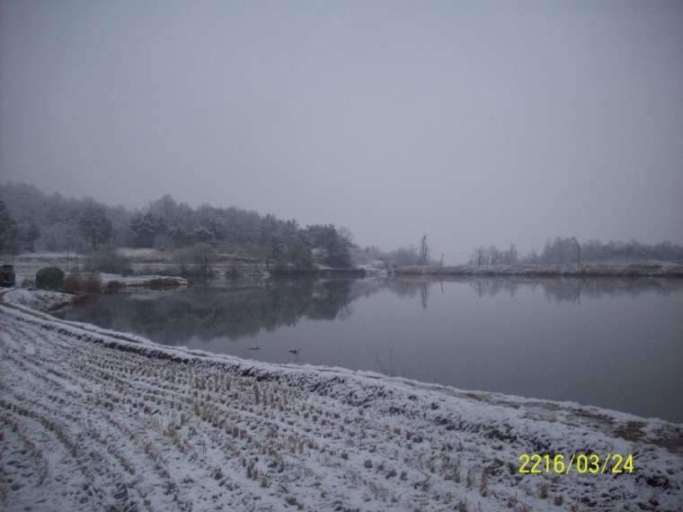 113_johwang10251990.jpg