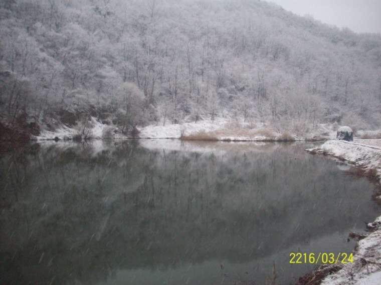 115_johwang10244076.jpg