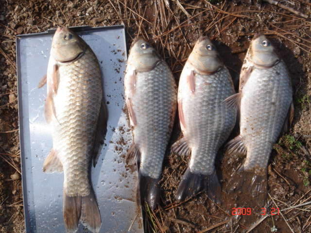 029_johwang12325070.jpg