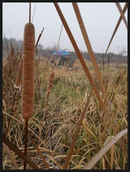 파라텐_johwang07150690.jpg