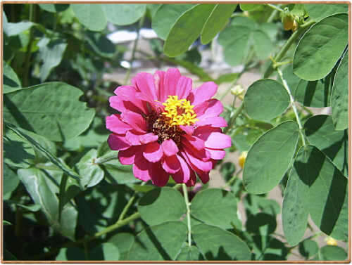 _johwang0437182.jpg