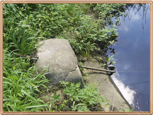 _johwang08400049.jpg