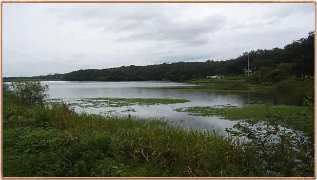 _johwang04241533.jpg