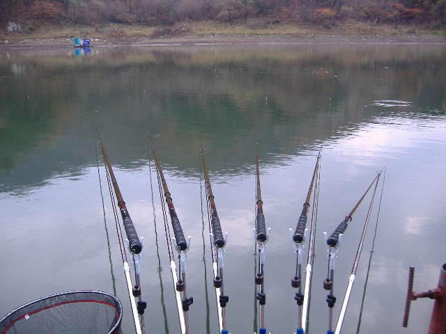 018_johwang05534345.jpg