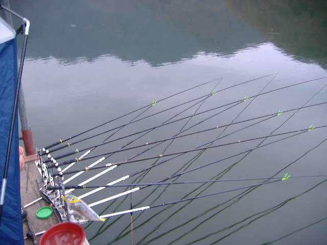 020_johwang05563032.jpg