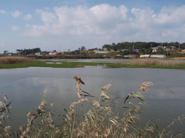 065_johwang06344635.jpg