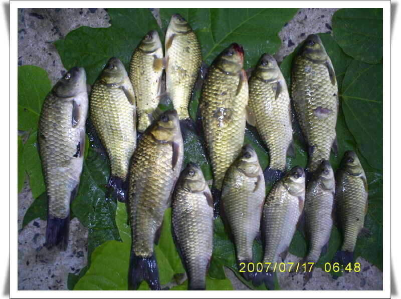 _S5030946_johwang12351771.jpg