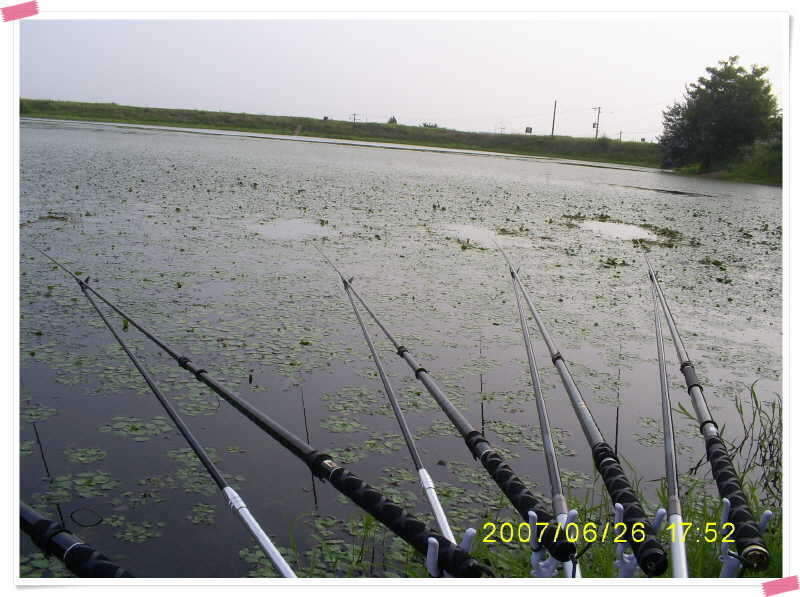 S5030871_johwang07500636.jpg