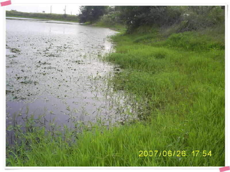 S5030873_johwang07542965.jpg