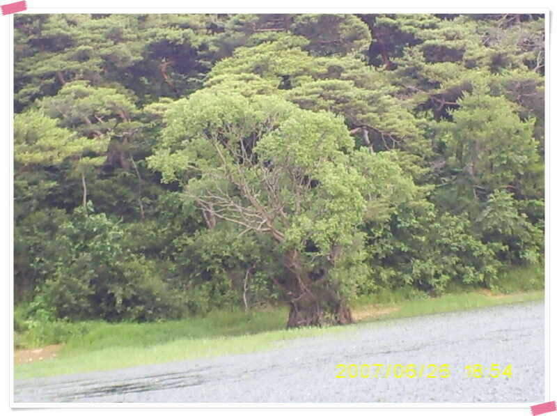 S5030881_johwang07593879.jpg