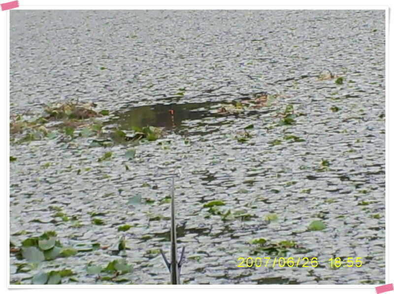 S5030882_johwang0812336.jpg
