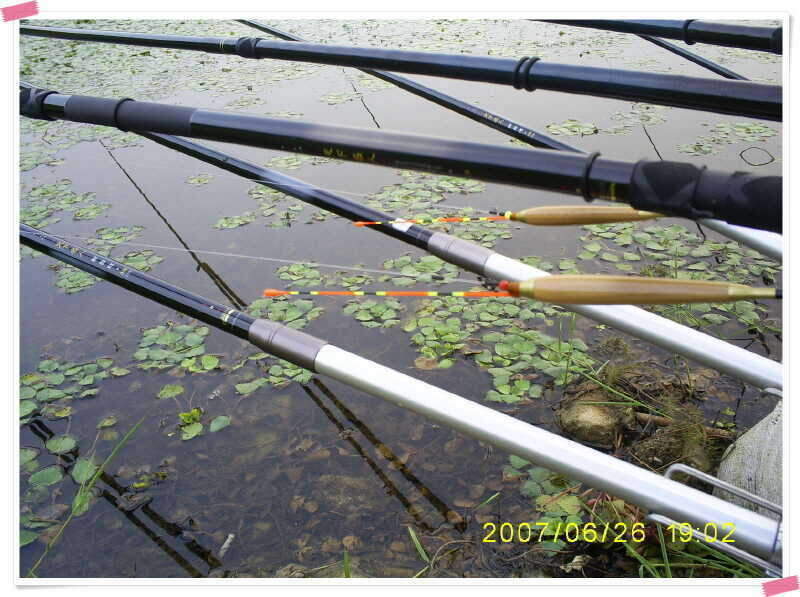 S5030884_johwang08071525.jpg