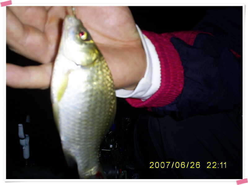 S5030889_johwang0821582.jpg