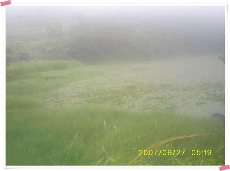 S5030891_johwang08360264.jpg