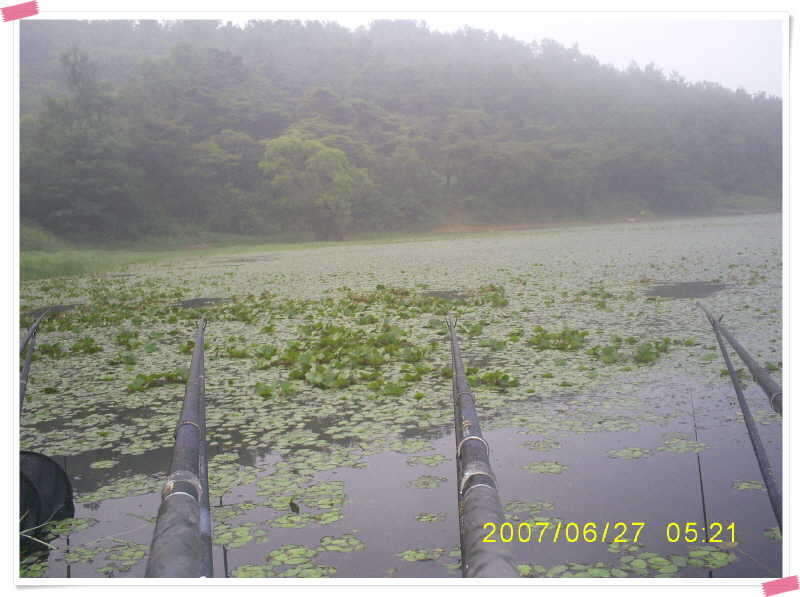 S5030892_johwang08385912.jpg