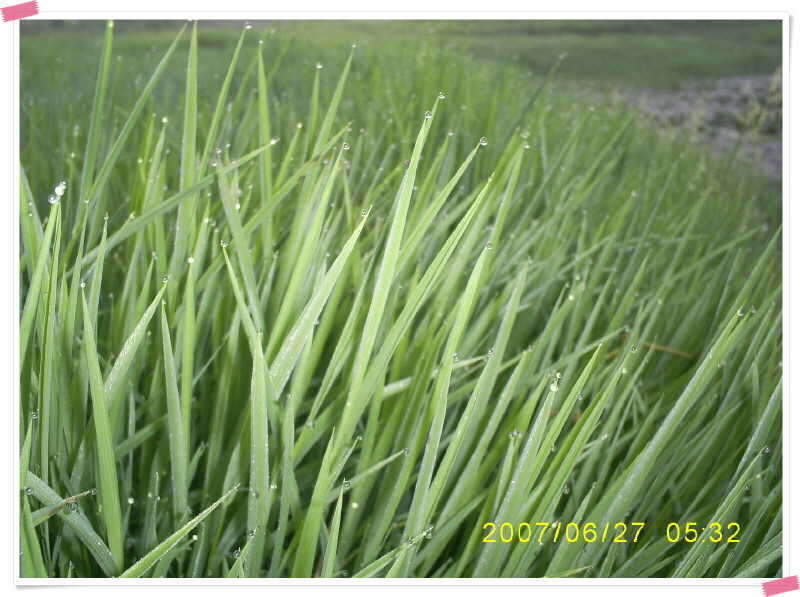 S5030893_johwang08375792.jpg