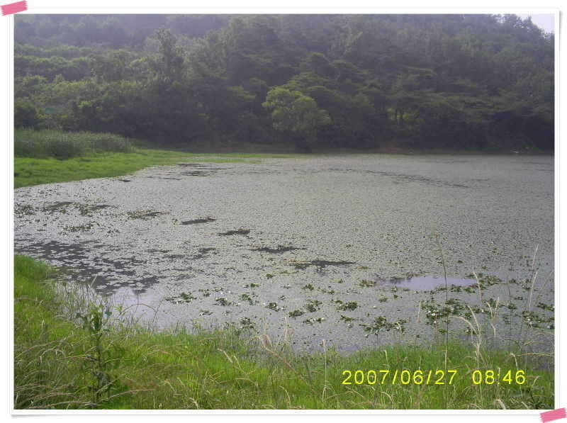 S5030894_johwang08403180.jpg