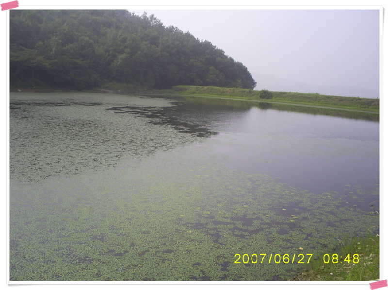 S5030895_johwang08415312.jpg