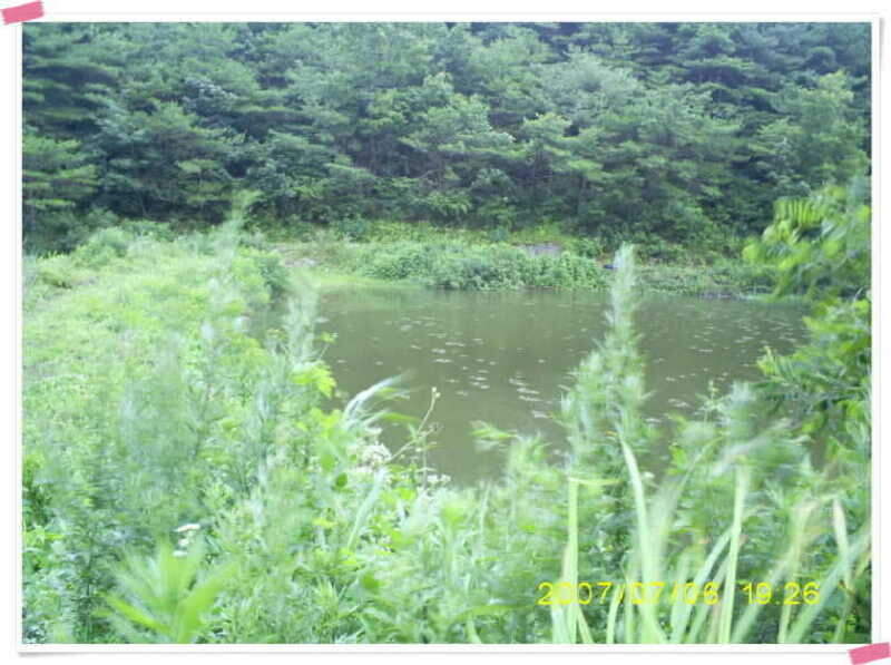 S5030898_johwang11071448.jpg