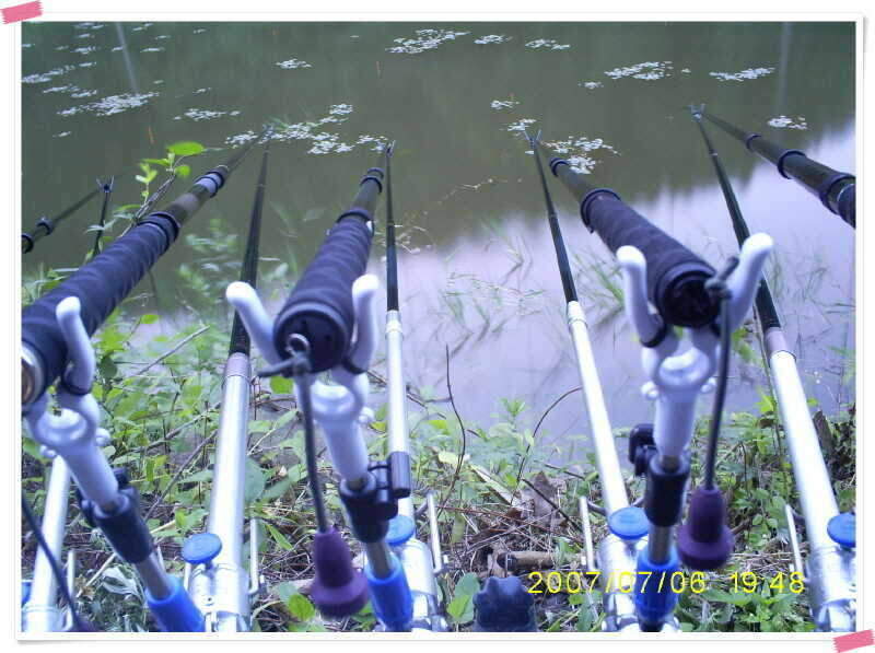 S5030902_johwang11244485.jpg