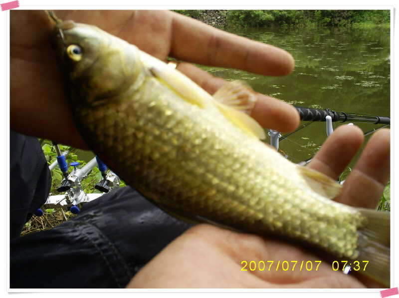 S5030909_johwang11344955.jpg