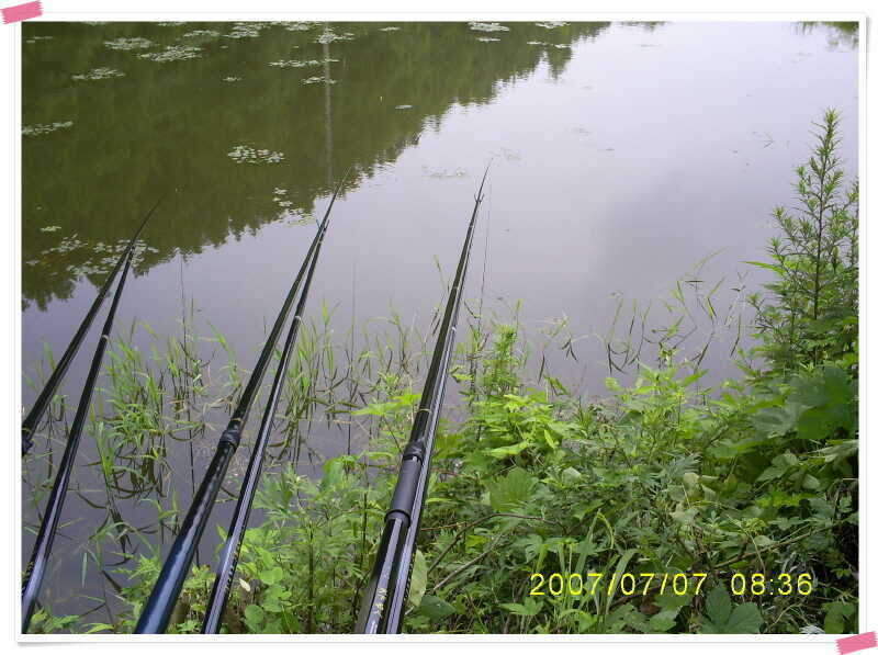S5030915_johwang11440538.jpg