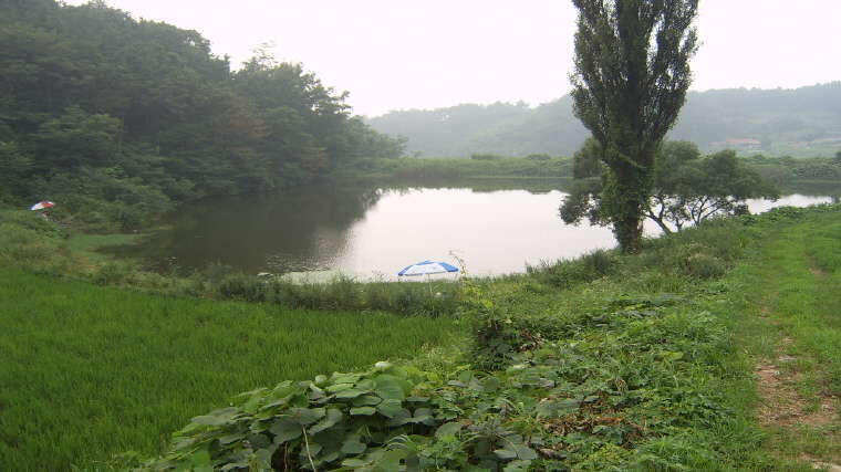 (상류)_johwang03454673.jpg