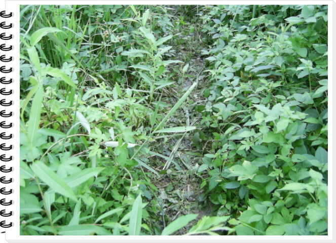 003_johwang06153841.jpg